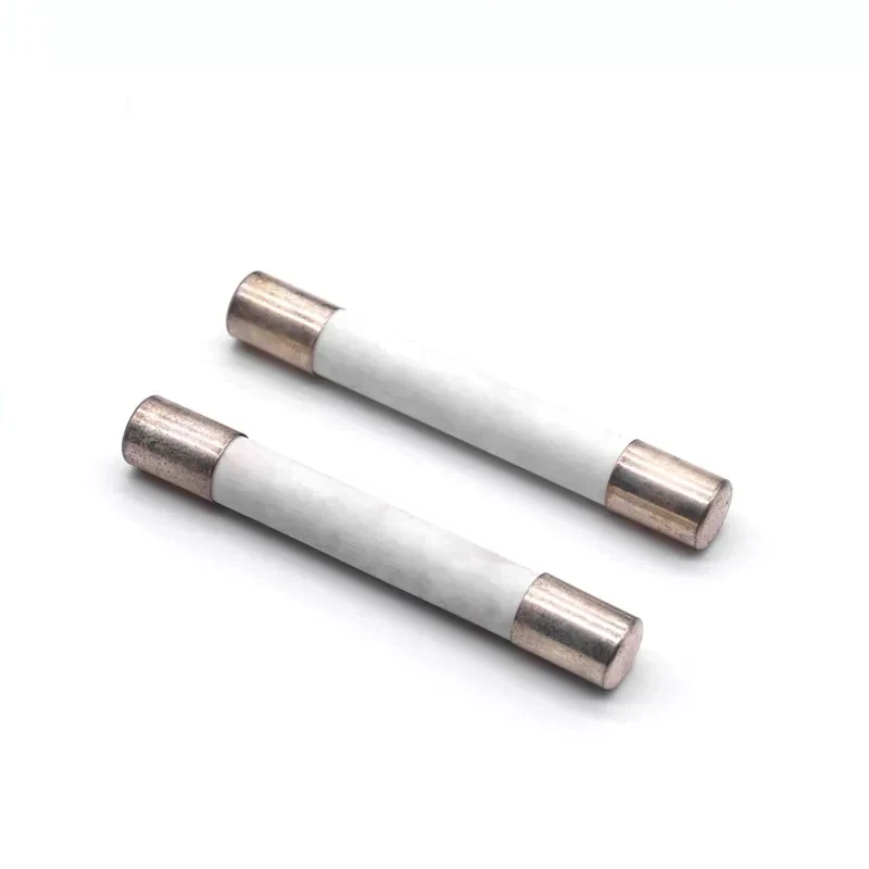 10 X 85mm PV öryggi